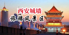 日韩xxxxx中国陕西-西安城墙旅游风景区